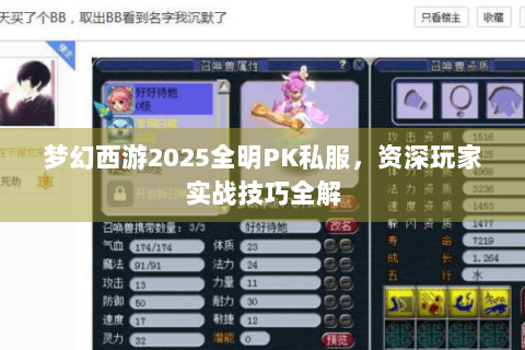 梦幻西游2025全明PK私服，资深玩家实战技巧全解