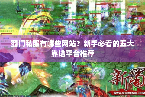 蜀门私服有哪些网站？新手必看的五大靠谱平台推荐
