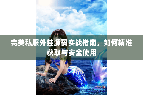 完美私服外挂源码实战指南，如何精准获取与安全使用