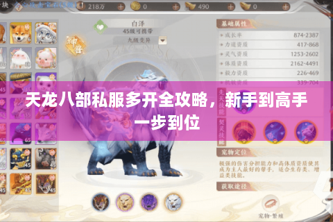 天龙八部私服多开全攻略，新手到高手一步到位