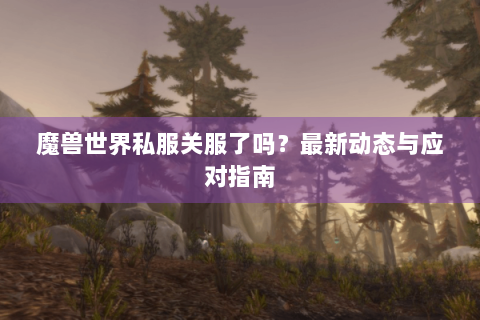 魔兽世界私服关服了吗？最新动态与应对指南
