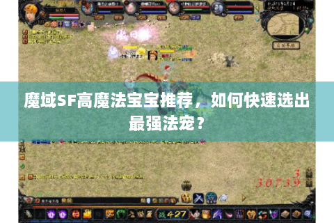 魔域SF高魔法宝宝推荐，如何快速选出最强法宠？