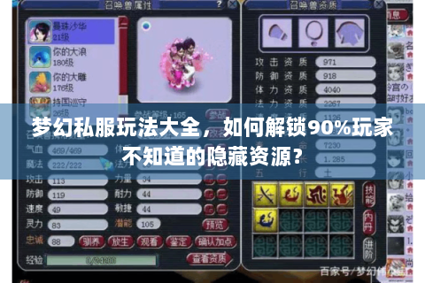 梦幻私服玩法大全，如何解锁90%玩家不知道的隐藏资源？