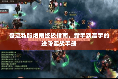 奇迹私服烟雨终极指南，新手到高手的进阶实战手册