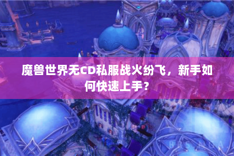 魔兽世界无CD私服战火纷飞，新手如何快速上手？