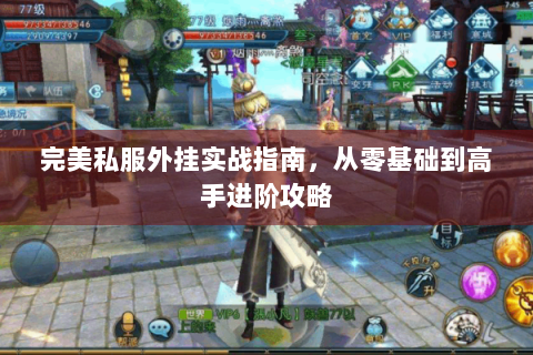 完美私服外挂实战指南，从零基础到高手进阶攻略