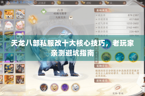 天龙八部私服改十大核心技巧，老玩家亲测避坑指南