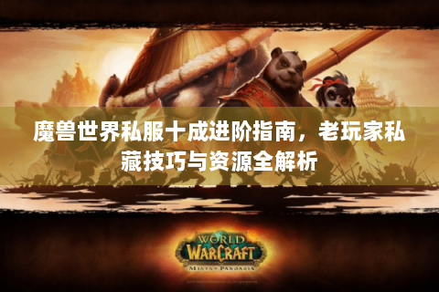 魔兽世界私服十成进阶指南，老玩家私藏技巧与资源全解析