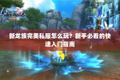 新龙族完美私服怎么玩？新手必看的快速入门指南