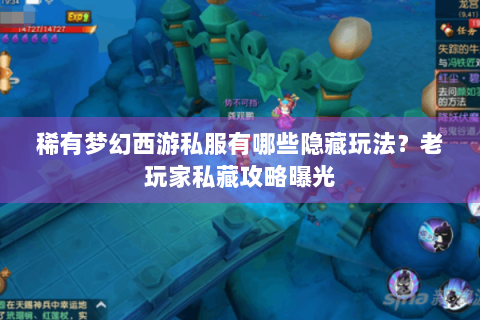 稀有梦幻西游私服有哪些隐藏玩法？老玩家私藏攻略曝光
