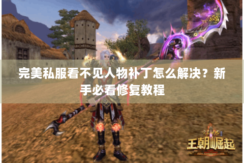 完美私服看不见人物补丁怎么解决？新手必看修复教程