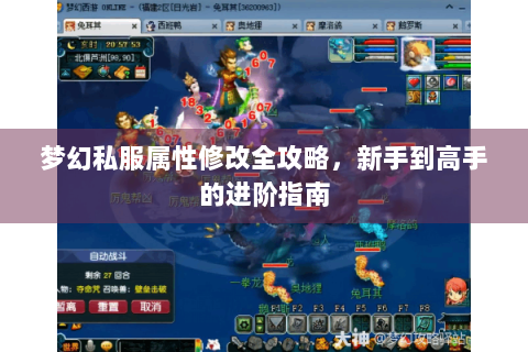 梦幻私服属性修改全攻略，新手到高手的进阶指南