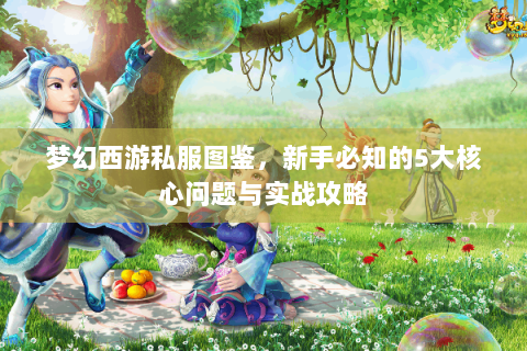 梦幻西游私服图鉴，新手必知的5大核心问题与实战攻略