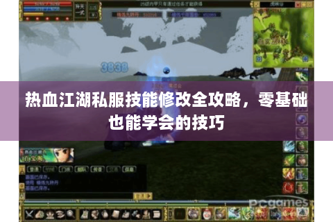 热血江湖私服技能修改全攻略，零基础也能学会的技巧