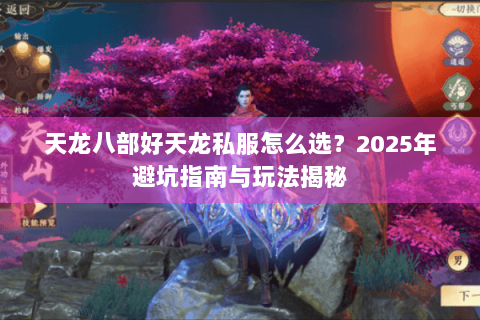 天龙八部好天龙私服怎么选？2025年避坑指南与玩法揭秘