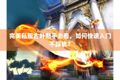 完美私服古叶新手必看，如何快速入门不踩坑？