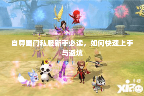 自尊蜀门私服新手必读，如何快速上手与避坑