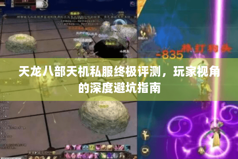 天龙八部天机私服终极评测，玩家视角的深度避坑指南