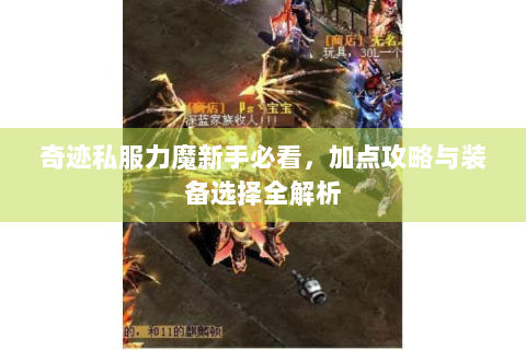 奇迹私服力魔新手必看，加点攻略与装备选择全解析