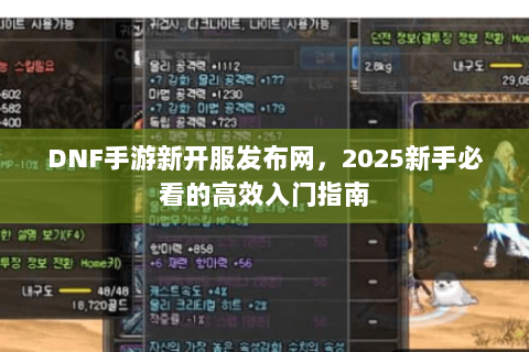 DNF手游新开服发布网，2025新手必看的高效入门指南