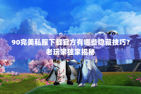 90完美私服下载官方有哪些隐藏技巧？老玩家独家揭秘