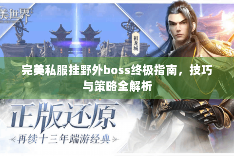 完美私服挂野外boss终极指南，技巧与策略全解析