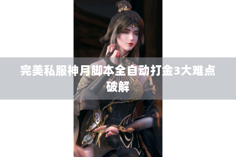 完美私服神月脚本全自动打金3大难点破解