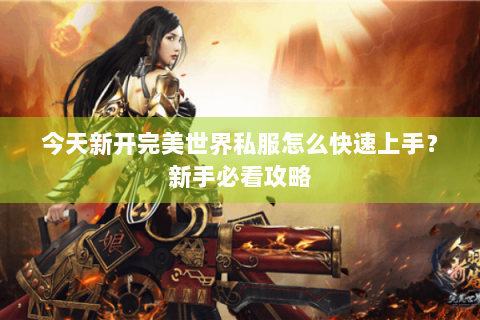 今天新开完美世界私服怎么快速上手？新手必看攻略