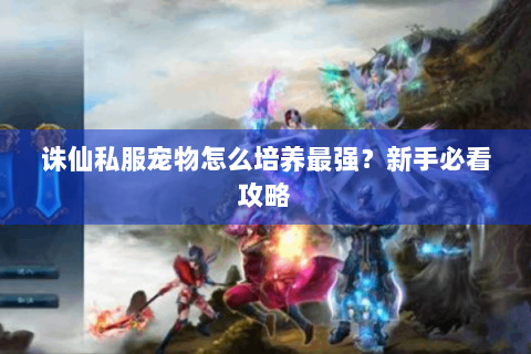 诛仙私服宠物怎么培养最强？新手必看攻略