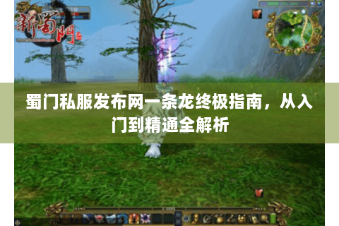 蜀门私服发布网一条龙终极指南，从入门到精通全解析