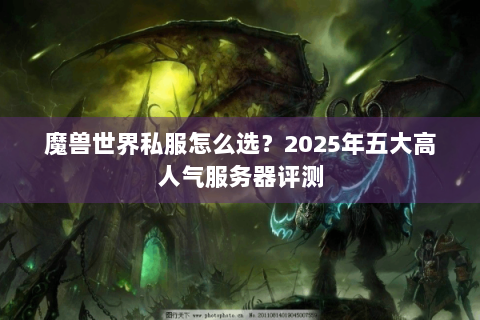 魔兽世界私服怎么选？2025年五大高人气服务器评测