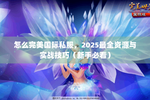 怎么完美国际私服，2025最全资源与实战技巧（新手必看）