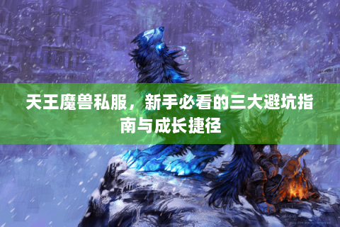 天王魔兽私服，新手必看的三大避坑指南与成长捷径