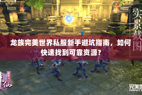 龙族完美世界私服新手避坑指南，如何快速找到可靠资源？