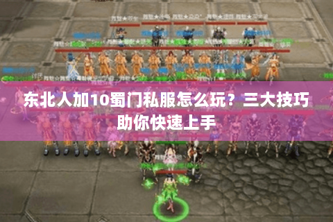 东北人加10蜀门私服怎么玩？三大技巧助你快速上手