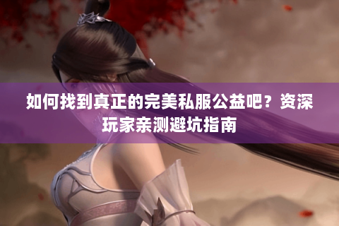 如何找到真正的完美私服公益吧？资深玩家亲测避坑指南