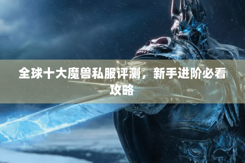 全球十大魔兽私服评测，新手进阶必看攻略