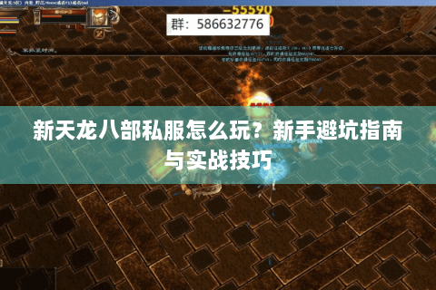 新天龙八部私服怎么玩？新手避坑指南与实战技巧