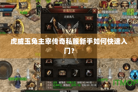 虎威玉兔主宰传奇私服新手如何快速入门？