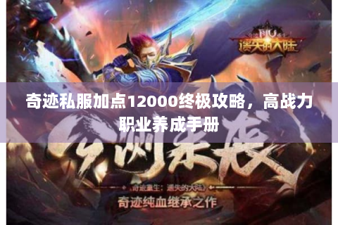 奇迹私服加点12000终极攻略，高战力职业养成手册