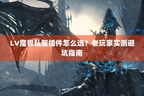 LV魔兽私服插件怎么选？老玩家实测避坑指南