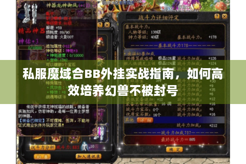 私服魔域合BB外挂实战指南，如何高效培养幻兽不被封号