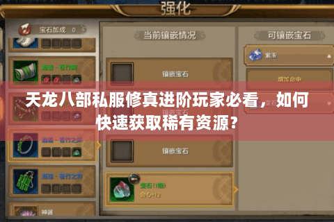 天龙八部私服修真进阶玩家必看，如何快速获取稀有资源？