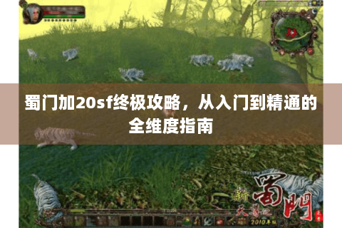 蜀门加20sf终极攻略，从入门到精通的全维度指南