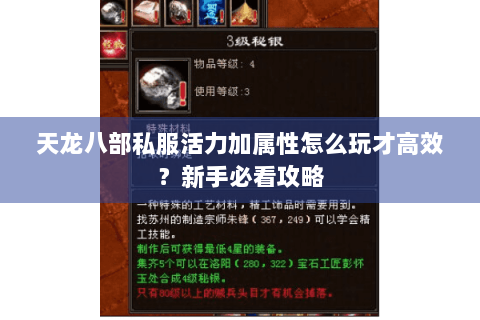 天龙八部私服活力加属性怎么玩才高效？新手必看攻略