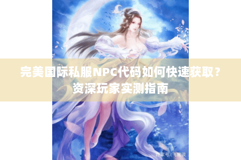 完美国际私服NPC代码如何快速获取？资深玩家实测指南
