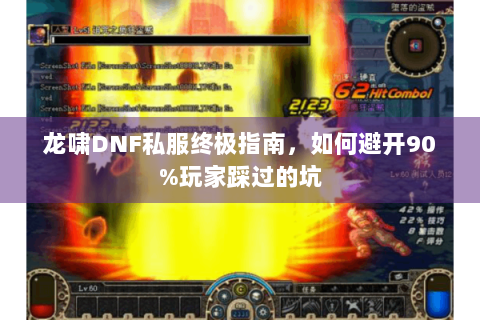 龙啸DNF私服终极指南，如何避开90%玩家踩过的坑