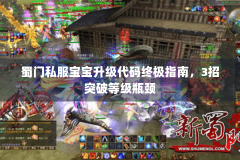 蜀门私服宝宝升级代码终极指南，3招突破等级瓶颈