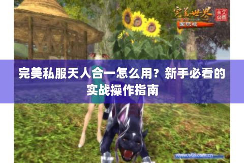 完美私服天人合一怎么用？新手必看的实战操作指南