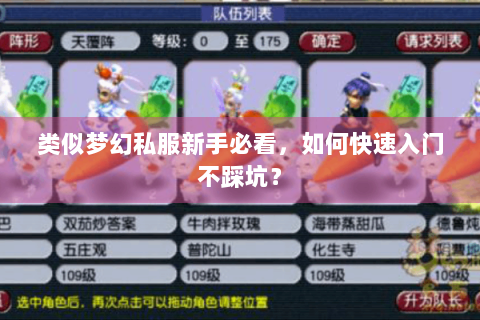 类似梦幻私服新手必看，如何快速入门不踩坑？
